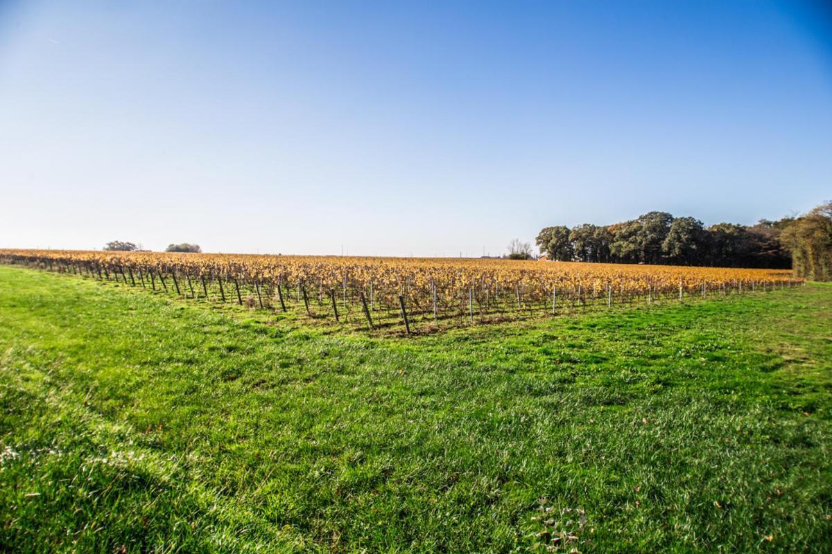 La Grange Du Cleray Vallet